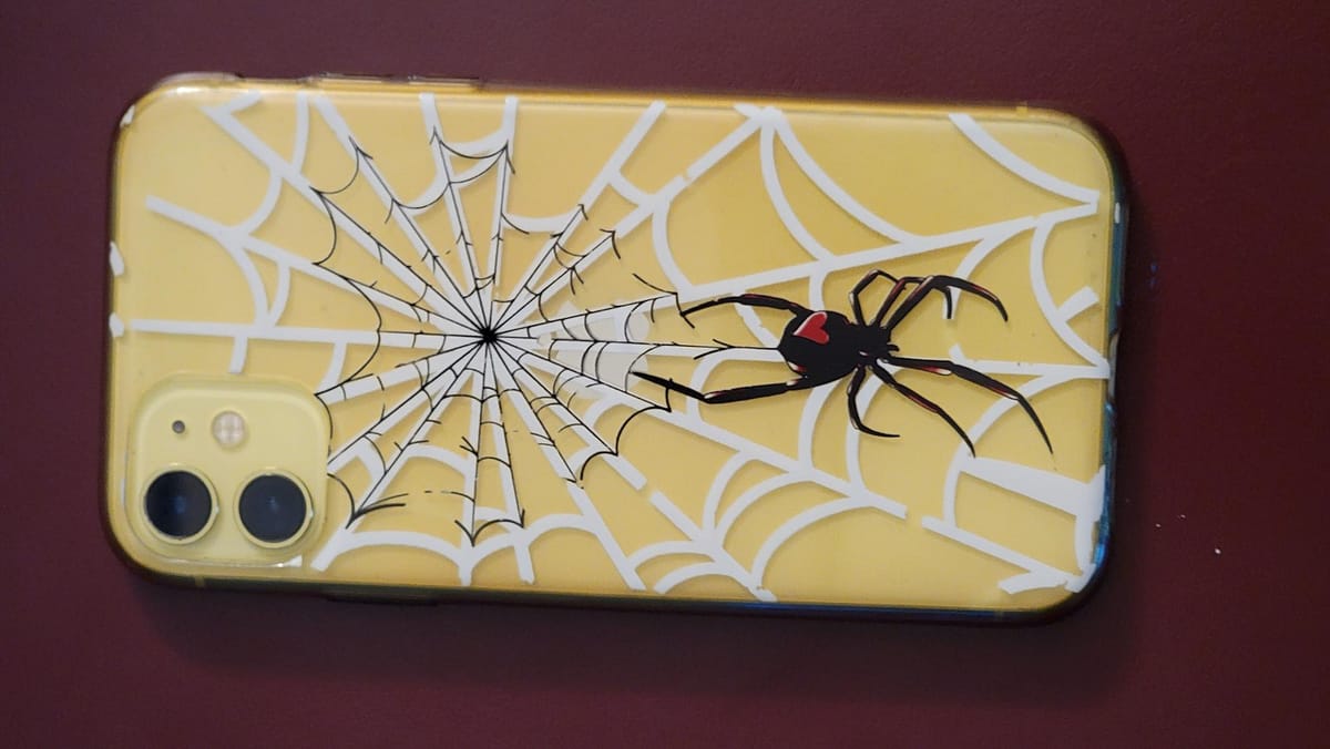 Spider and web heart phone case