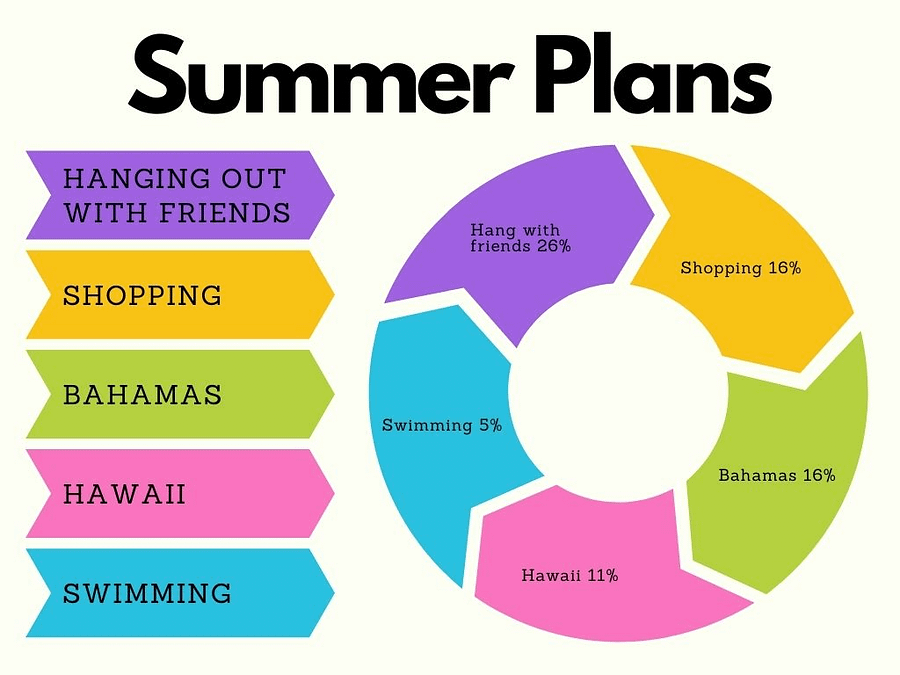 Summer Plans Pie Chart